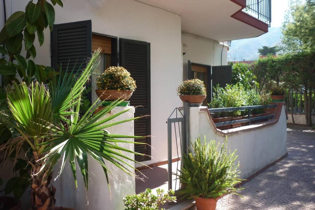 Casa Vesuvio Apartment Massa di Somma ภายนอก รูปภาพ